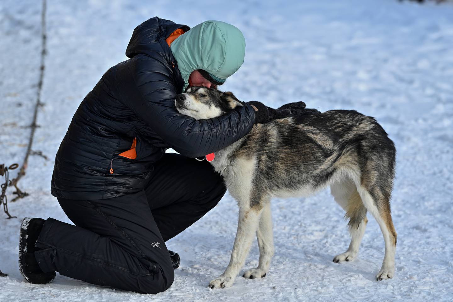 Iditarod, sled dog race