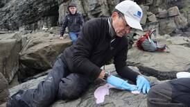 A 2021 earthquake off the Alaska Peninsula may have uncovered 30 new dinosaur tracks 