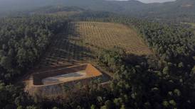 Angry farmers in a once-lush Mexican state target avocado orchards that suck up too much water