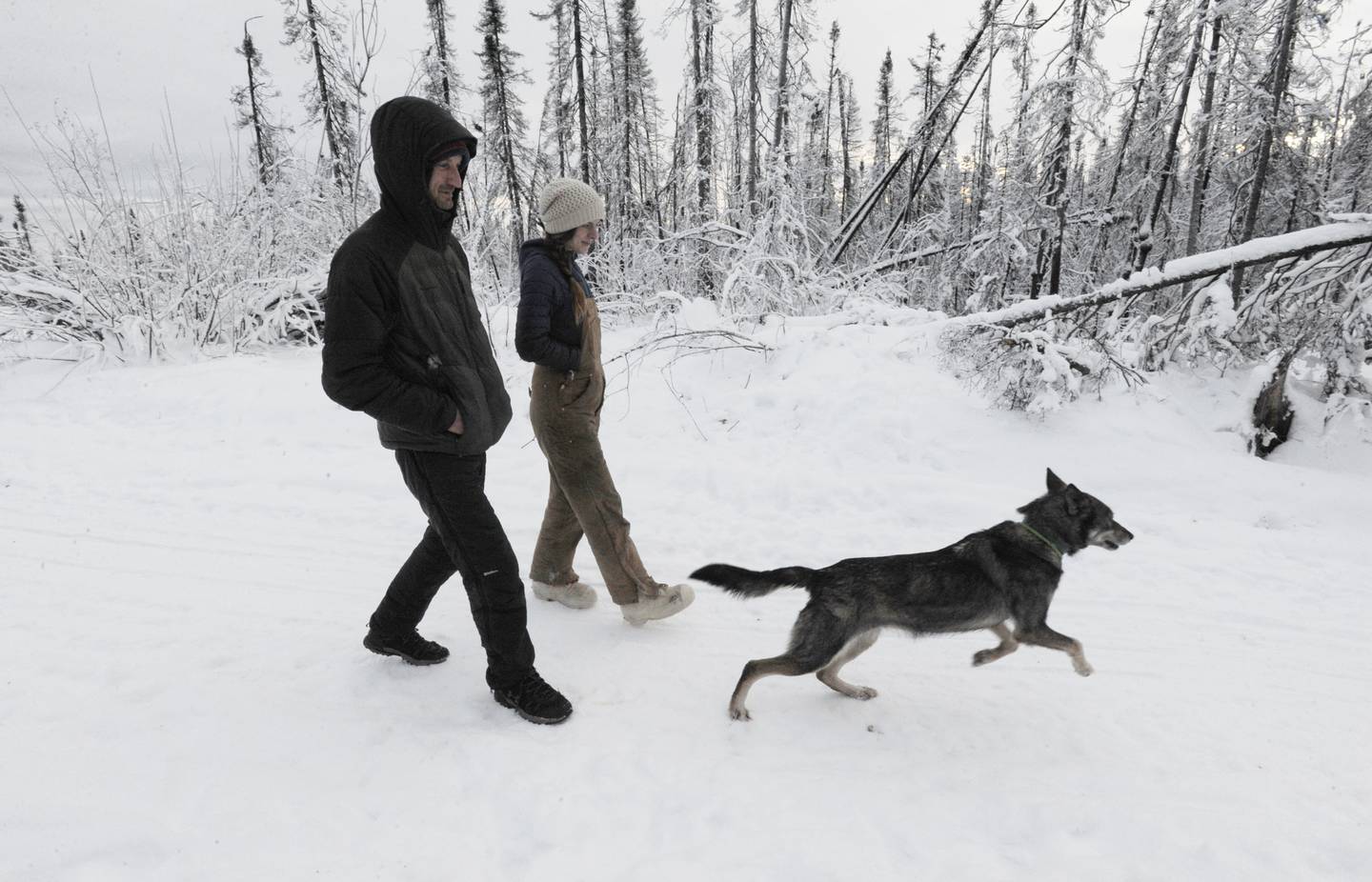 Iditarod musher Nic Petit and girlfriend Emily Maxwell sled dogs in Willow