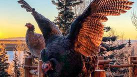 ‘Those turkeys were fast,’ and other hunting stories 
