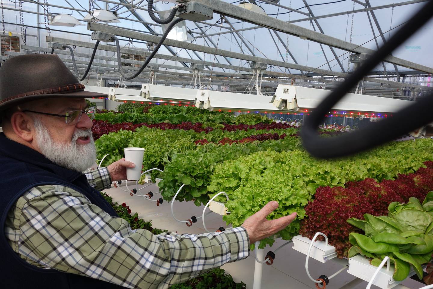 Chena Hot Springs Resort owner Bernie Karl shows off some of the produce in his greenhouse.