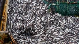 Alaska Legislature approves seafood task force for sector in ‘crisis’