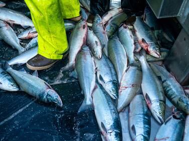 Economic report portrays a mixed picture of Alaska’s huge seafood industry