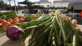 Alaska’s heat wave has supercharged summer vegetable crops