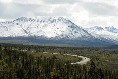 An insider’s guide to Denali National Park and Preserve