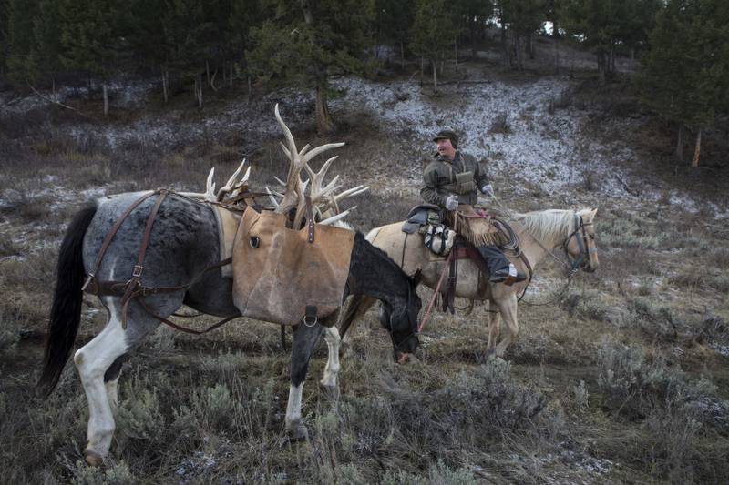 The ‘shed hunt’ is on. Towering prongs of elk antlers are the prize.