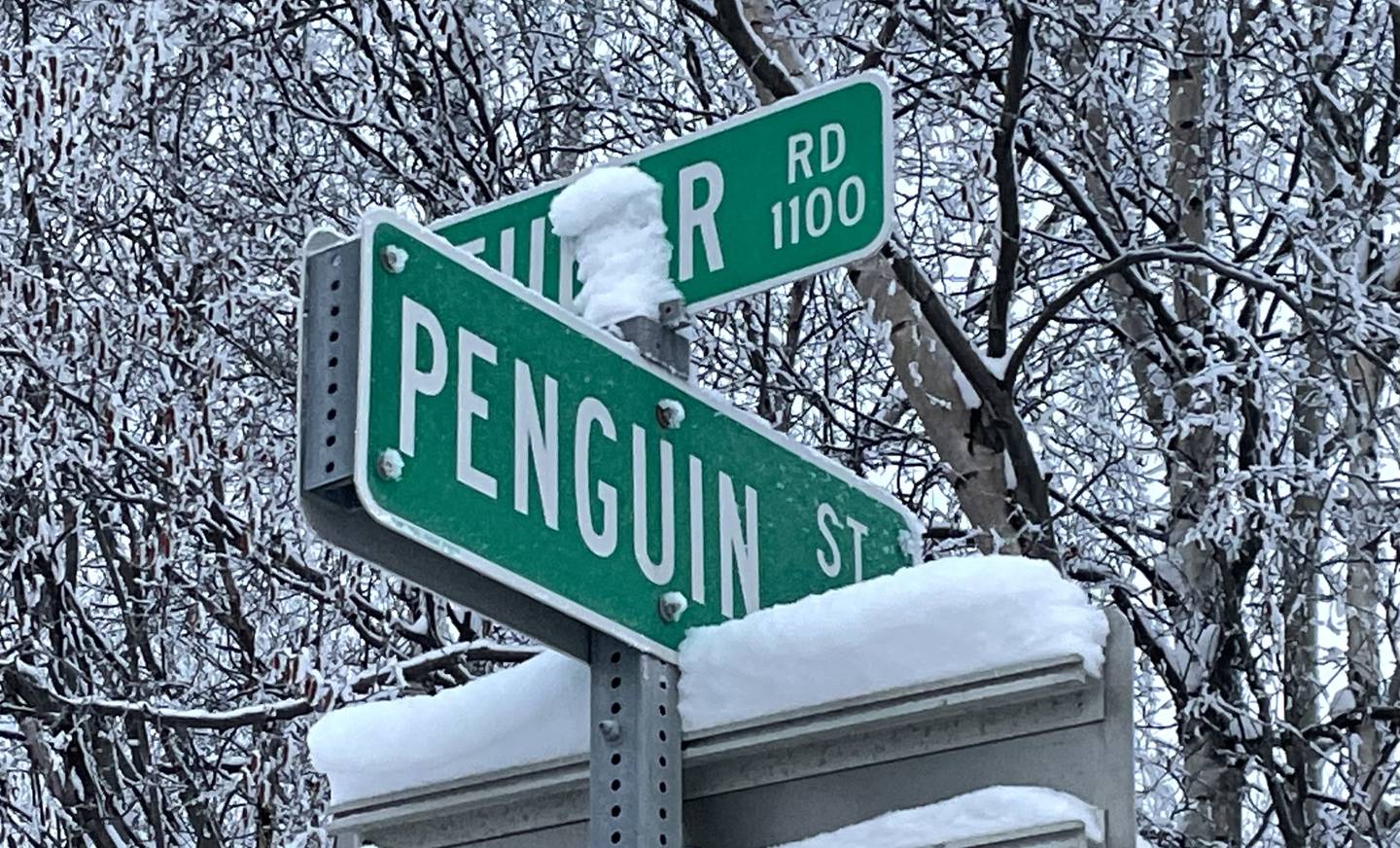 Penguin Street