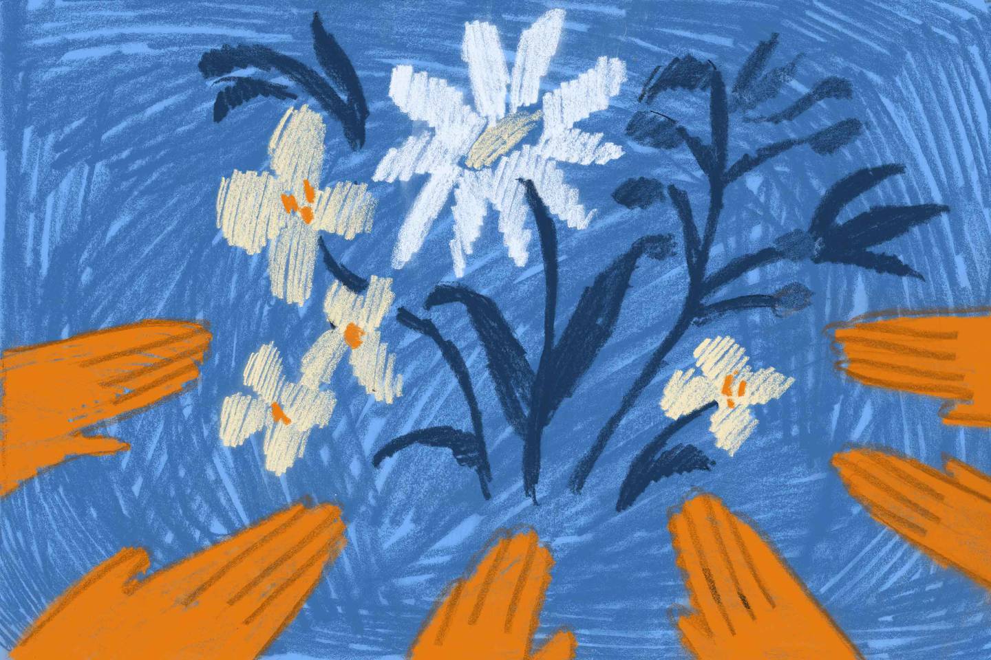 3x2 Unheard Lawless ProPublica illustration flowers hands
