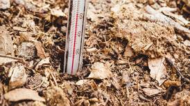 Follow ground temperature, not the calendar, to determine when to plant