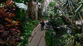 Anchorage municipal greenhouse offers a tropical respite from winter