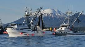 As demand for Alaska herring roe plummets, industry seeks markets for the wasted fish 