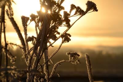 Get your yard ready for the first hard frost