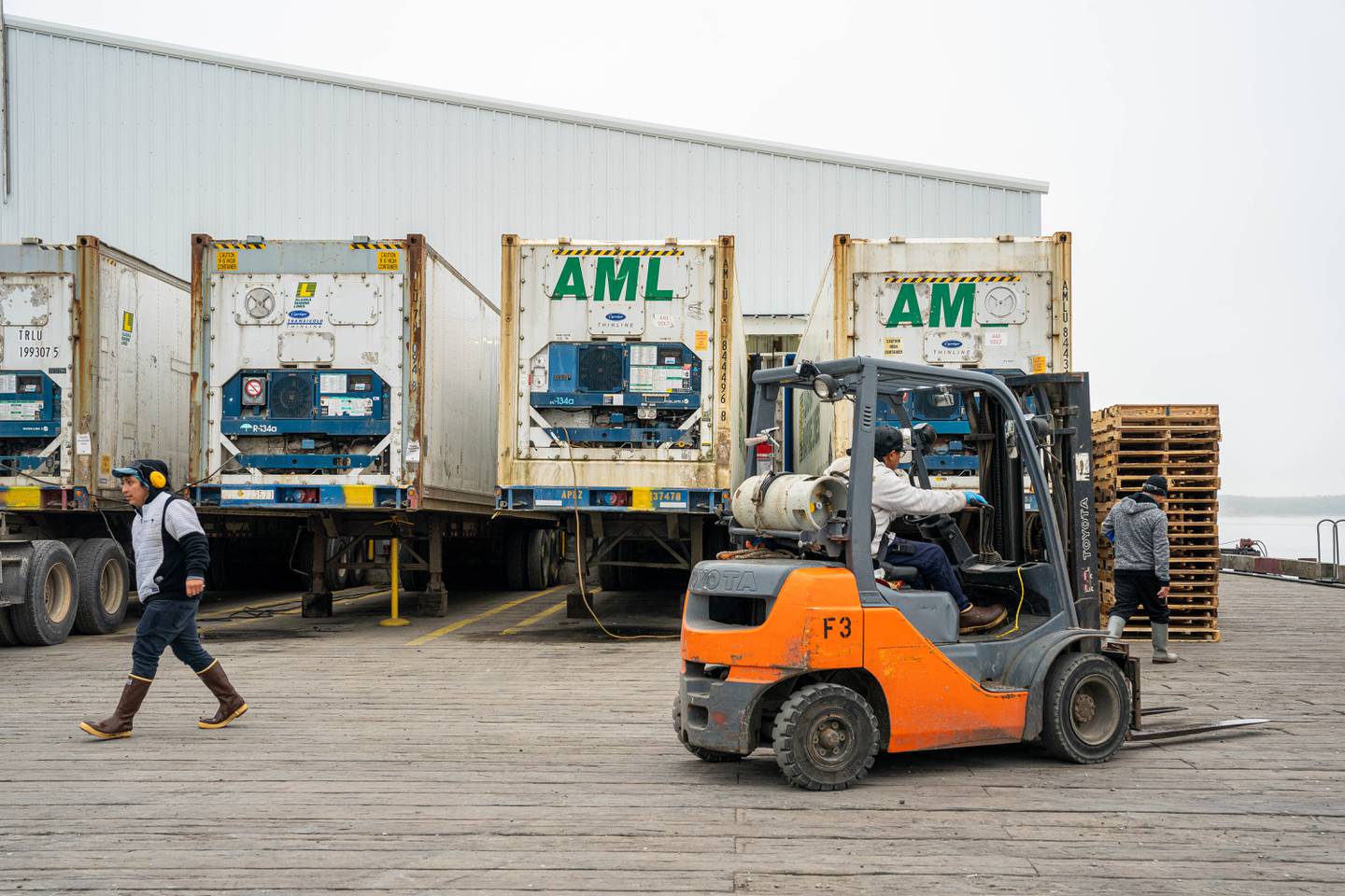 AML, Alaska Marine Lines, Bristol Bay, Lynden, Naknek, cannery, commercial fishing, container, fish processing, fishing, freezer container, salmon