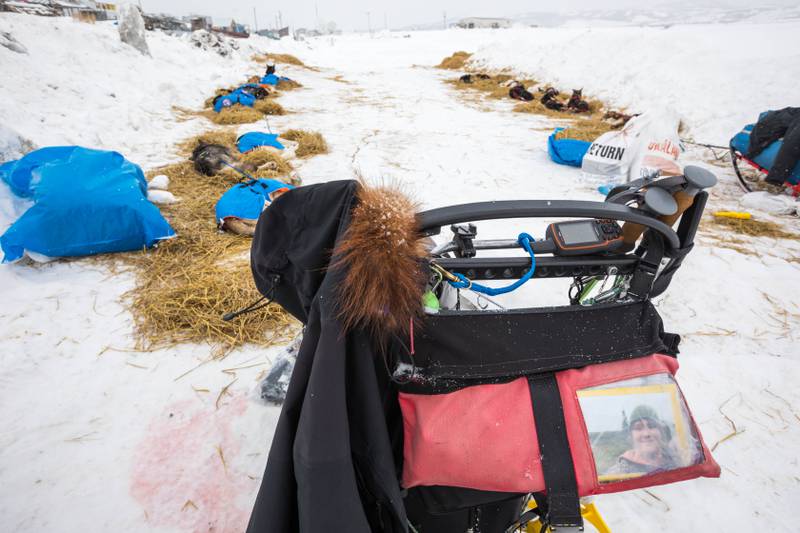 Bering Sea mix-up: Leifseth Ulsom grabs Iditarod lead when Petit veers ...