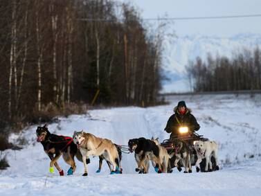 This year’s Iditarod sign-ups matched an all-time low. Here’s what’s behind it.