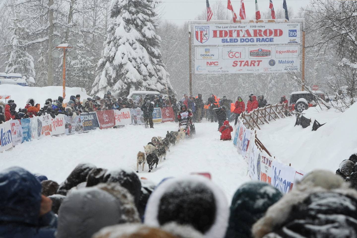 Restart of the Iditarod Trail Sled Dog Race in Willow