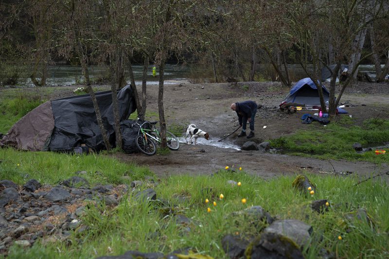 A man plays with his dog in Baker Park next to his tent, at left, after using the stick to help the stream of water flow better on Friday, March 22, 2024, in Grants Pass, Ore. (AP Photo/Jenny Kane)
