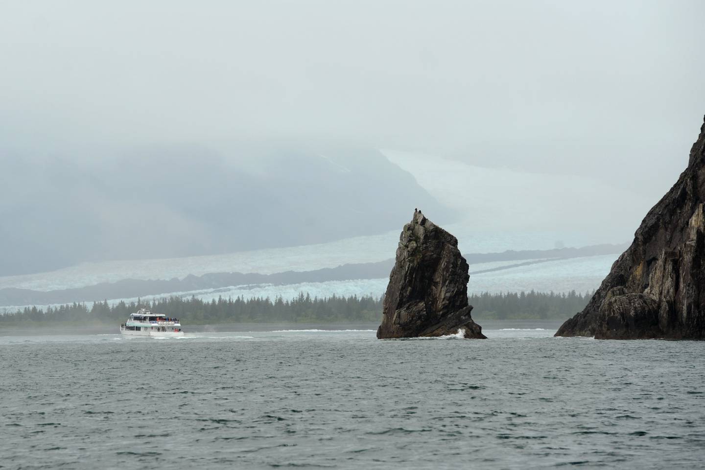 Seward, fishing, Bear Glacier, Kenai Fjords Tours, Resurrection Bay