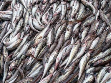 Fishermen, city officials seek broader Russia seafood boycott to benefit Ukraine and Alaska