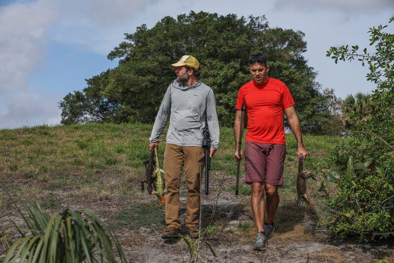 Zack and Michael head back to the boat with the iguanas they hunted. (Cindy Karp for The Washington Post)
