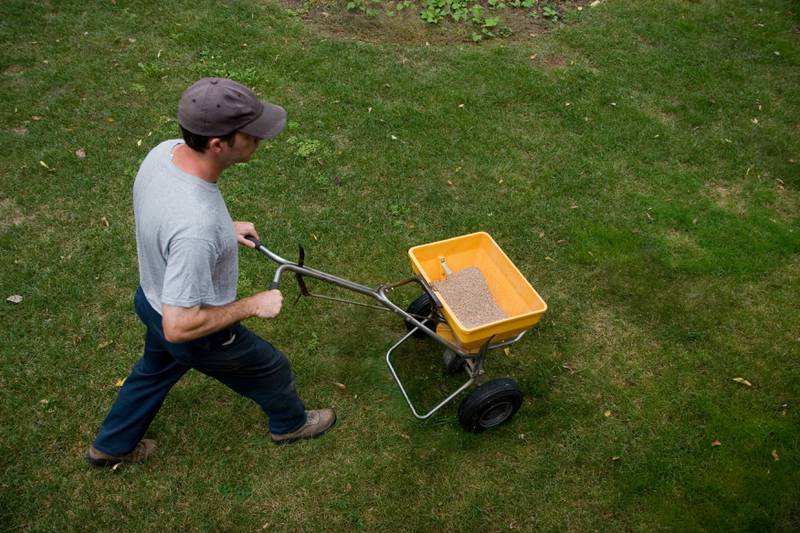 Do you really need to use chemical fertilizers on your lawn and garden?
