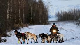 This year’s Iditarod sign-ups matched the all-time low. Here’s what’s behind it.