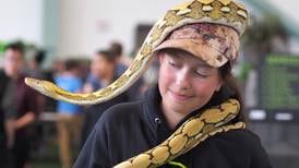 Reptile lovers convene in Wasilla as exotic animals gain popularity in Alaska