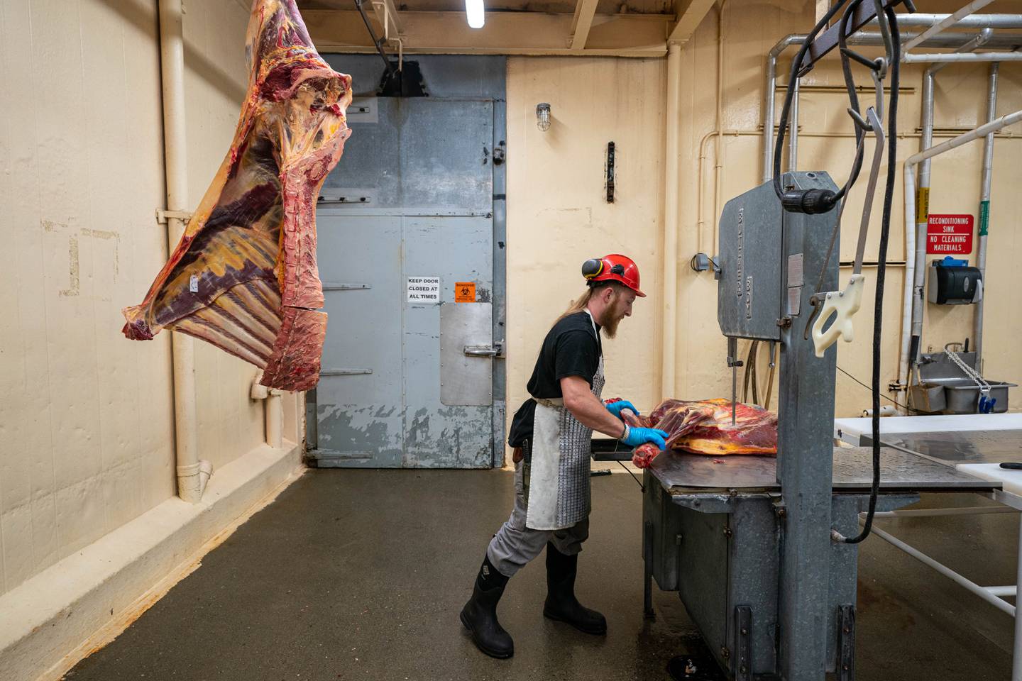 Alaska Meat Packers, food, meat, slaughterhouse