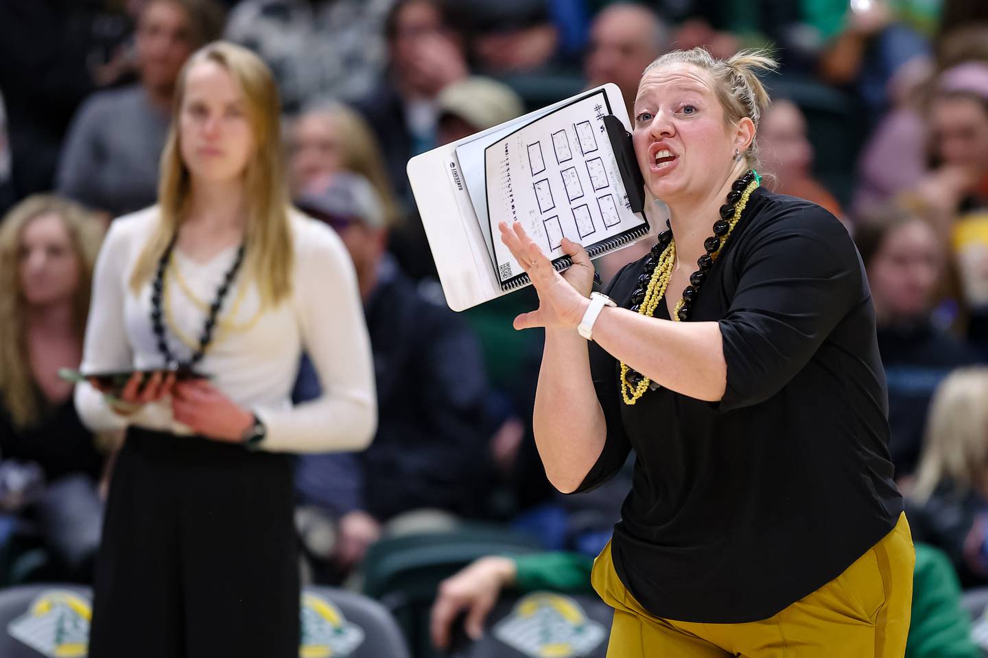UAA assistant coach Stacie Meisner instructs players during a UAA volleyball match against Central Washington University on Nov. 5, 2022