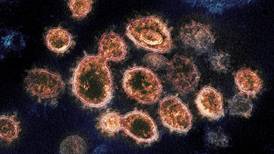 Highly transmissible COVID-19 strain spreading in Washington state, virologists say