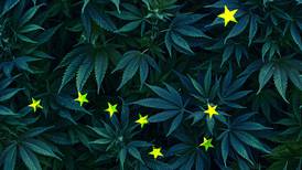 Alaska should not rush into pot legalization