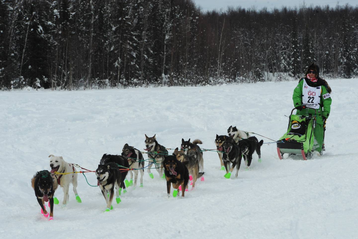Willow Restart Iditarod Trail Sled Dog Race