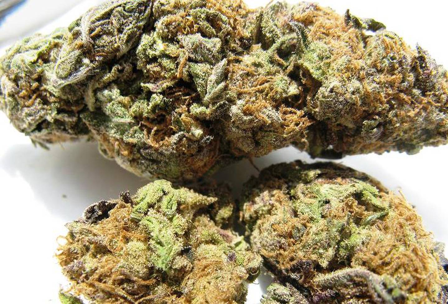 Marijuana in Alaska