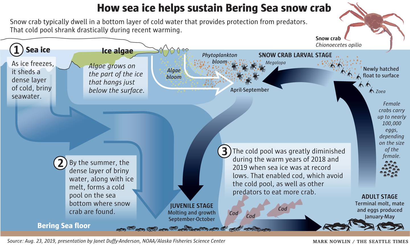 Bering Sea Graphic