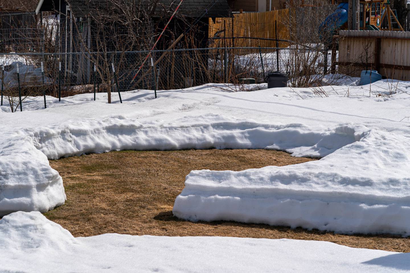 As snow melts off lawns, follow these best practices for healthy spring growth - Anchorage Daily News