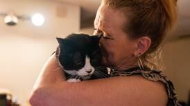 Her cat was burned and tortured. A year later, an Anchorage woman gets justice — and an apology.
