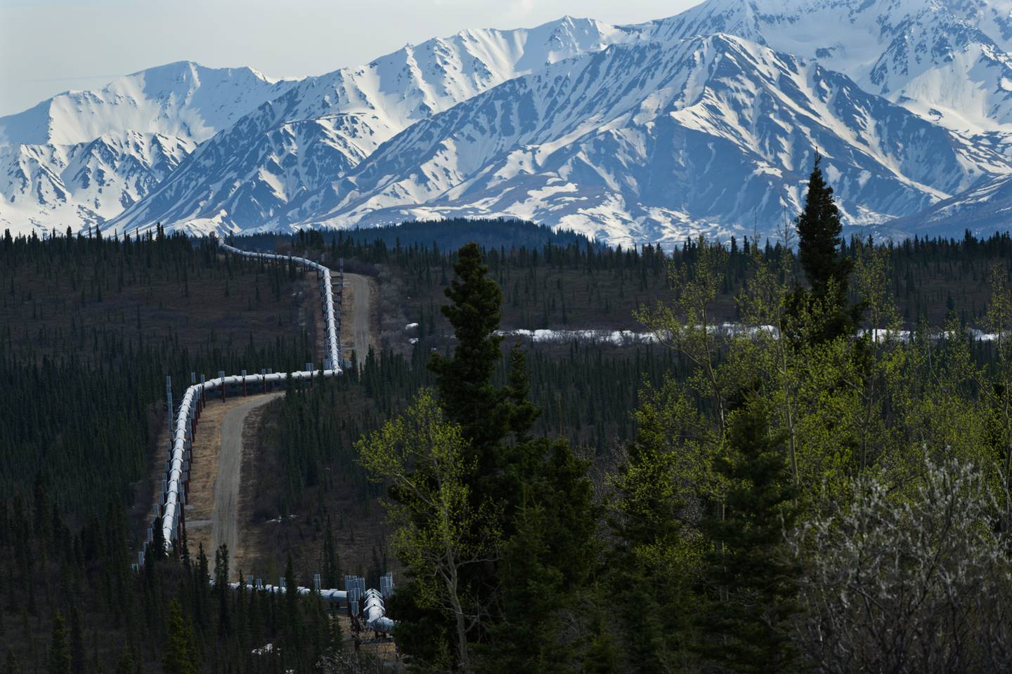 Trans-Alaska Pipeline, oil, Richardson Highway