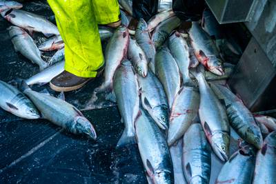 Report portrays a mixed picture of Alaska’s huge seafood industry
