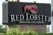 Red Lobster chain goes bankrupt after losses from unlimited shrimp deal