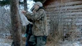Reality Check: ‘Alaska: The Last Frontier’ gory but more entertaining than usual
