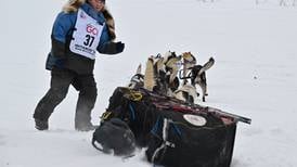 Third dog dies in the 2024 Iditarod
