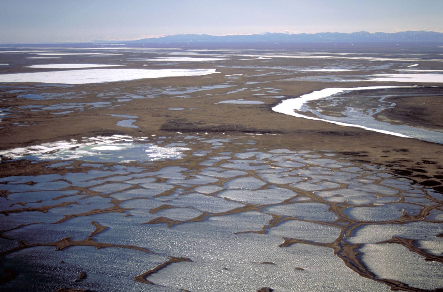 ANWR Canning River coastal plain Arctic National Wildlife Refuge