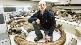 Adopt a mammoth, and you can help scientists discover when it last roamed Alaska