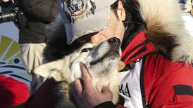 Lead dog "George Costanza" leads stout Hugh Neff team to Yukon Quest glory